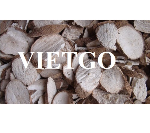 Thương vụ cung ứng sắn lát hàng tháng cho thị trường Trung Quốc