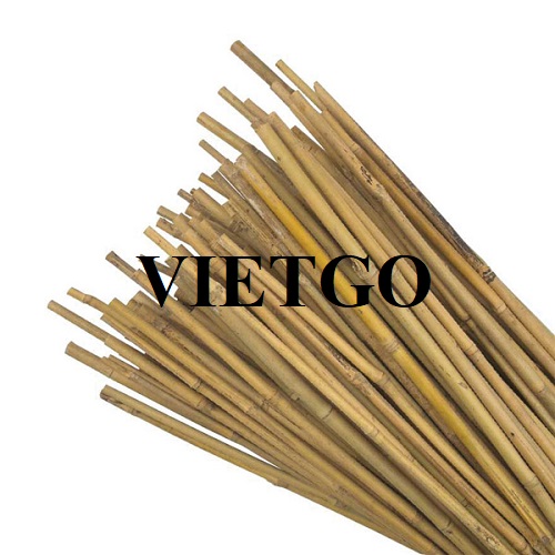 Cơ hội giao thương xuất khẩu gậy tre sang thị trường Bulgaria