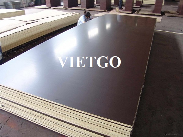 Thương vụ xuất khẩu 5 container 40ft gỗ dán phủ phim sang thị trường Thổ Nhĩ Kỳ