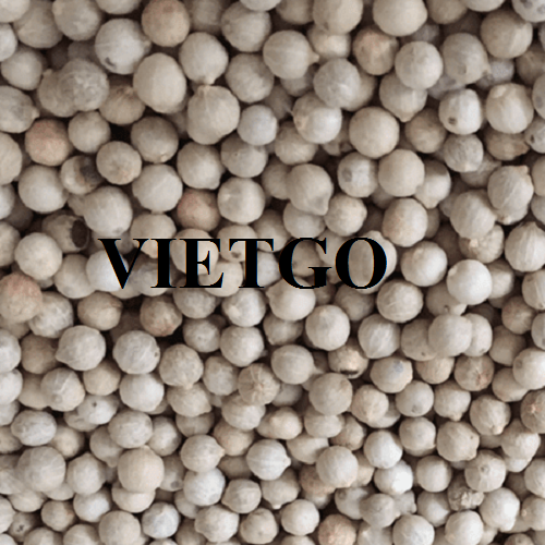 Thương vụ xuất khẩu hạt tiêu trắng sang thị trường Hoa Kỳ