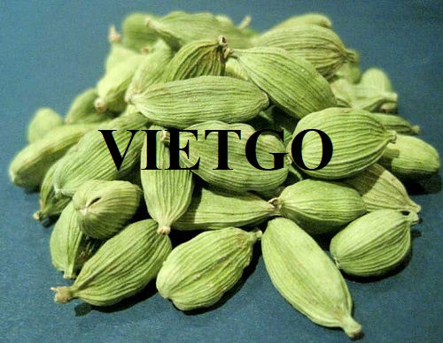Cơ hội hợp tác với doanh nghiệp Ấn Độ cho sản phẩm thảo quả
