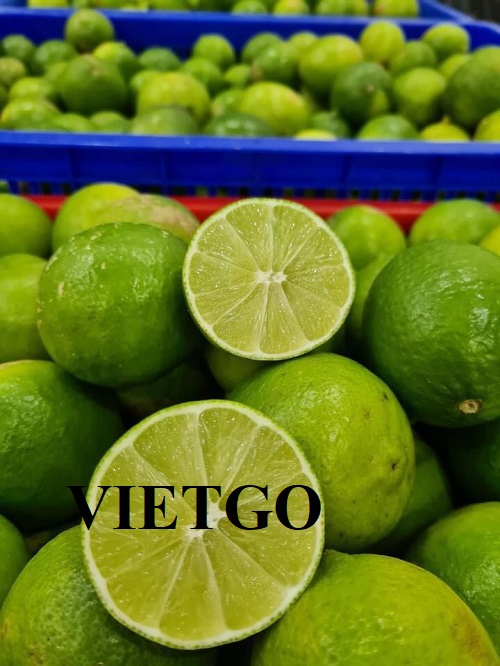 Cơ hội hợp tác với vị khách hàng người UAE cho đơn hàng xuất khẩu chanh