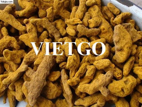 Cơ hội hợp tác với doanh nghiệp Ấn Độ cho sản phẩm nghệ khô