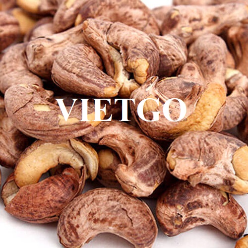 Cơ hội hợp tác xuất khẩu hạt điều sang thị trường Trung Quốc