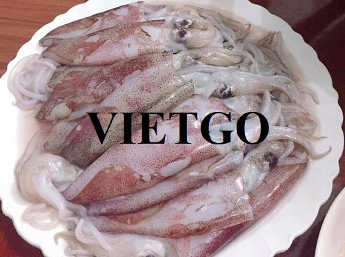 Cơ hội xuất khẩu mực ống sang thị trường Thổ Nhĩ Kỳ