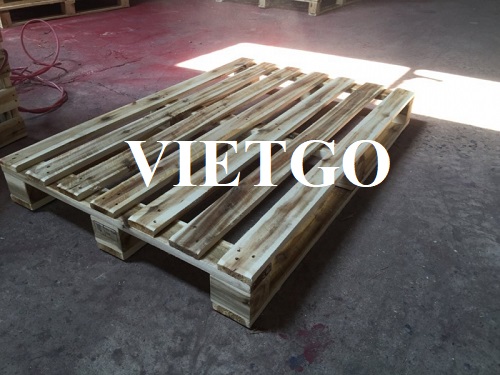 Thương vụ xuất khẩu pallet sang thị trường Ý