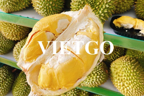 Cơ hội hợp tác với vị khách hàng người Việt cho đơn hàng xuất khẩu sầu riêng sang thị trường Nhật Bản