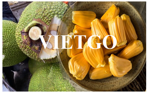 Cơ hội hợp tác với vị khách hàng người Việt cho đơn hàng xuất khẩu mít sang thị trường Nhật Bản