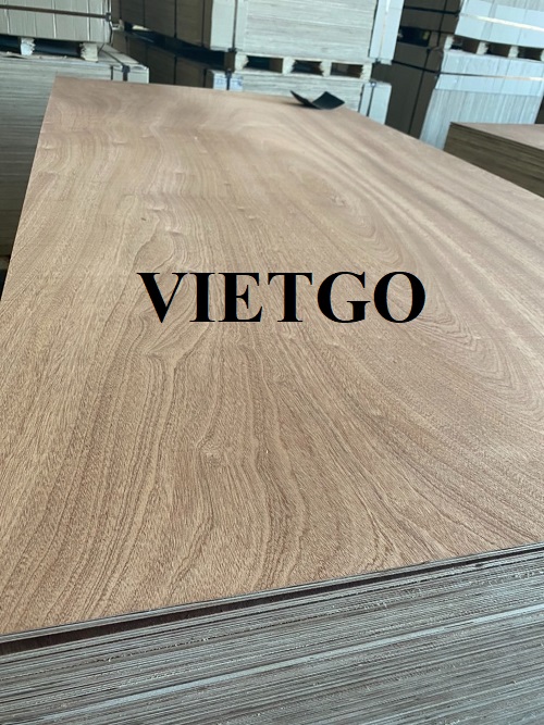 Thương vụ xuất khẩu gỗ dán sang thị trường Ấn Độ