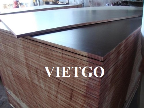 Thương vụ xuất khẩu gỗ dán phủ phim sang thị trường Ấn Độ