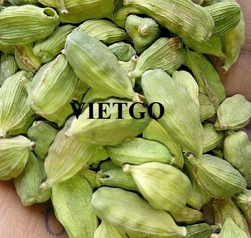 Cơ hội giao thương xuất khẩu sản phẩm thảo quả đến thị trường UAE