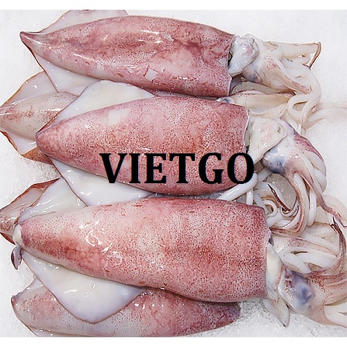 Cơ hội xuất khẩu bạch tuộc và mực ống sang thị trường Lebanon