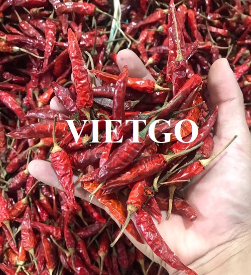 Thương vụ xuất khẩu ớt khô sang thị trường Pháp