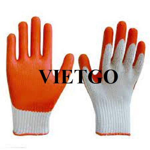 Cơ hội xuất khẩu găng tay lao động sang thị trường Ba Lan