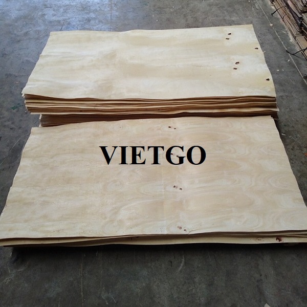 Thương vụ xuất khẩu 20 container 40ft ván bóc sang thị trường Trung Quốc