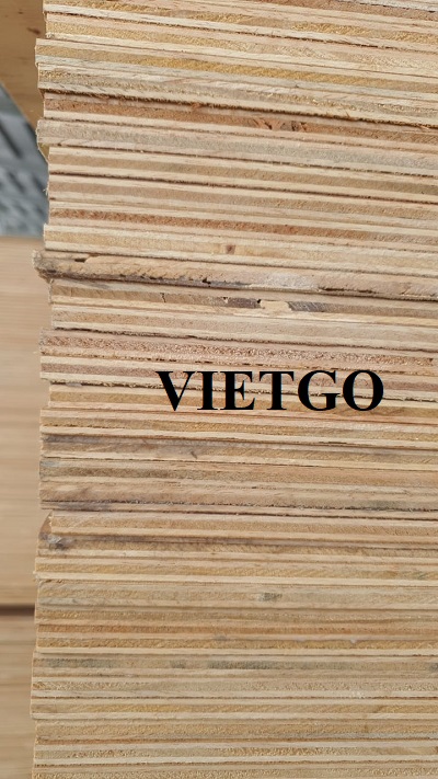 Đối tác người Malaysia cần nhập khẩu gỗ dán cho dự án sắp tới