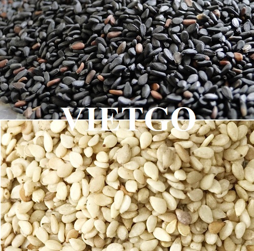 Thương vụ xuất khẩu hạt mè sang thị trường Trung Quốc