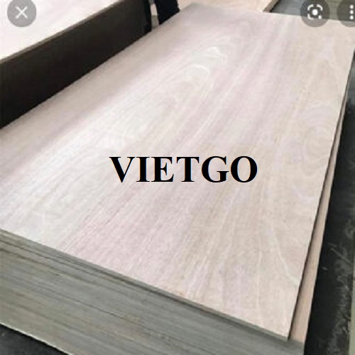 Cơ hội trở thành đối tác xuất khẩu gỗ dán cho một doanh nghiệp tại Canada