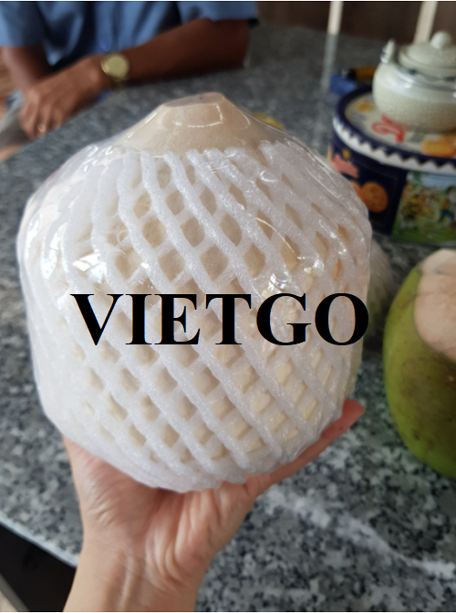 Thương vụ hợp tác với doanh nghiệp Dubai cho đơn hàng dừa tươi
