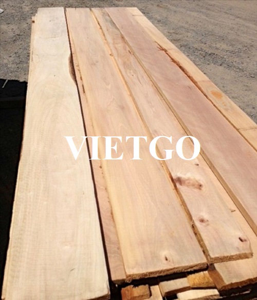 Thương vụ xuất khẩu gỗ bạch đàn xẻ sang thị trường Pháp