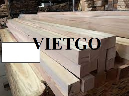 Thương vụ xuất khẩu gỗ thông xẻ sang thị trường Pháp