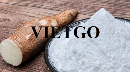 Thương vụ hợp tác xuất khẩu tinh bột sắn cho một doanh nghiệp tại Trung Quốc