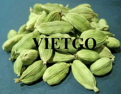Cơ hội hợp tác với doanh nghiệp Ấn Độ cho đơn hàng xuất khẩu thảo quả xanh