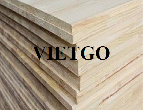 Thương vụ xuất khẩu gỗ thông xẻ sang thị trường Israel