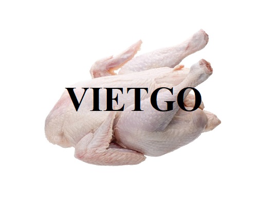 Thương vụ xuất khẩu gà đông lạnh sang thị trường Úc