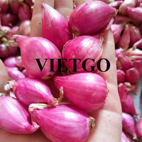 Cơ hội xuất khẩu sản phẩm hành sang thị trường Indonesia