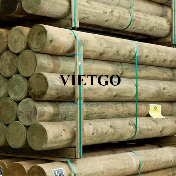 Đối tác người Bulgaria dự kiến nhập khẩu 6 container 40ft cọc gỗ cho dự án sắp tới với đối tác tại Trung Quốc