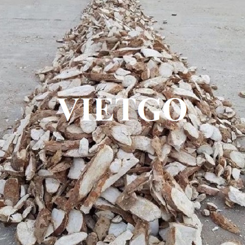 Thương vụ xuất khẩu sắn lát sang thị trường Trung Quốc