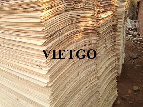 Một doanh nghiệp tại Ai Cập cần tìm nhà cung cấp sản phẩm ván bóc