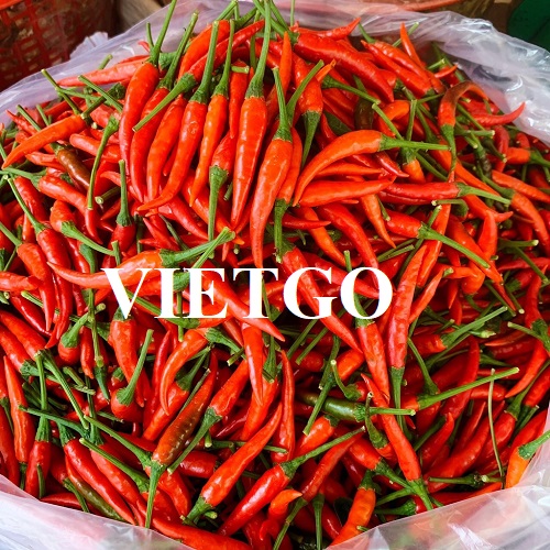 Cơ hội xuất khẩu sản phẩm ớt tươi hàng tháng đến thị trường Malaysia