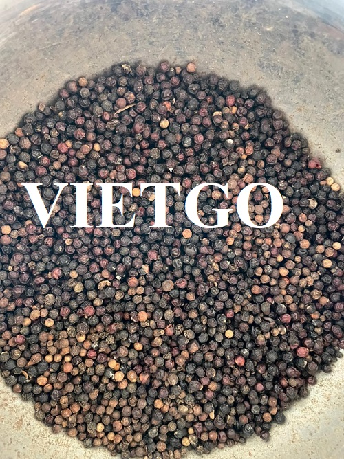 Cơ hội hợp tác với doanh nghiệp Ấn Độ cho sản phẩm hạt tiêu