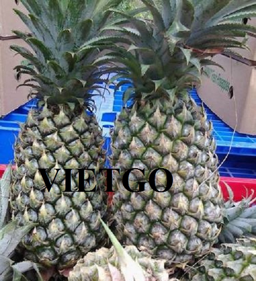 Thương vụ xuất khẩu dứa tươi sang thị trường Li-băng