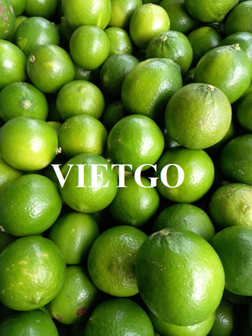 Cơ hội hợp tác với doanh nghiệp tại Oman cho đơn hàng xuất khẩu sản phẩm chanh