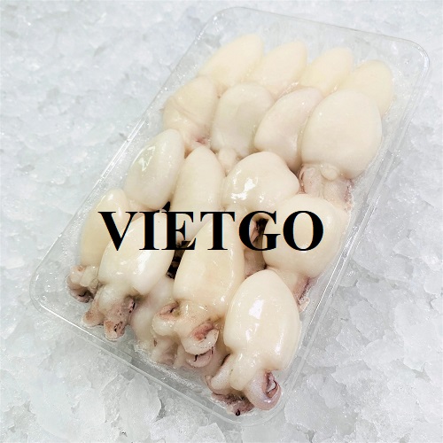 Thương vụ xuất khẩu mực nang sang thị trường Úc