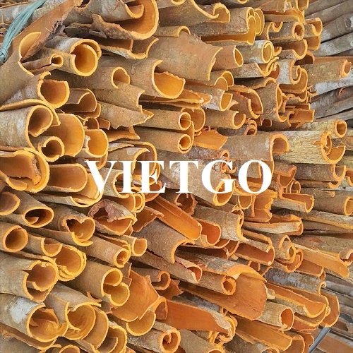 Cơ hội hợp tác với vị khách hàng người Ấn Độ cho sản phẩm quế