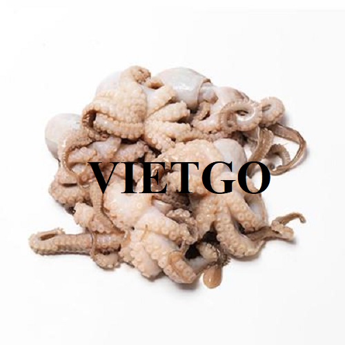 Thương vụ xuất khẩu bạch tuộc sang thị trường Úc