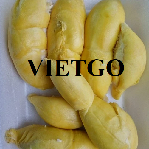 Cơ hội cung cấp mặt hàng sầu riêng đông lạnh sang thị trường Hàn Quốc