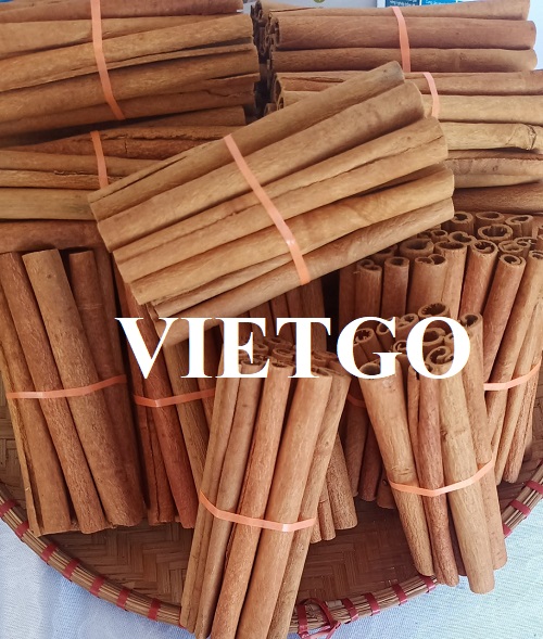 Cơ hội xuất khẩu sản phẩm quế sang thị trường Ấn Độ