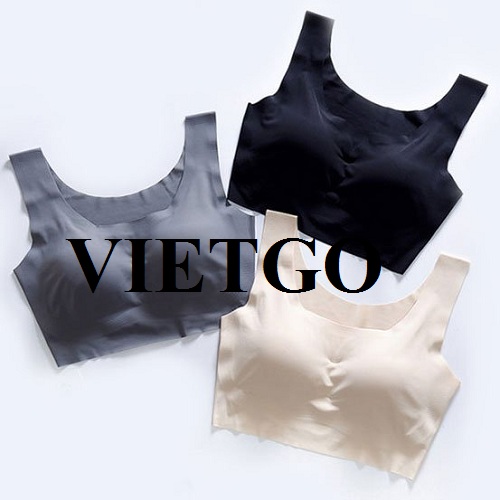 Đối tác người Nam Phi cần nhập khẩu mặt hàng đồ lót