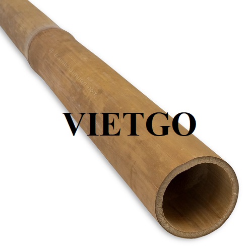 Cơ hội xuất khẩu gậy tre sang hai thị trường Ý và Hoa Kỳ