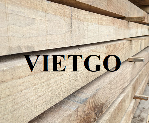 Thương vụ xuất khẩu gỗ dẻ gai xẻ sang thị trường Séc