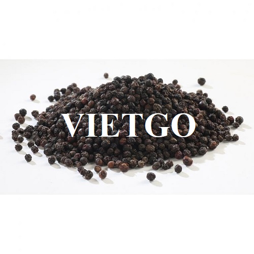 Cơ hội hợp tác với doanh nghiệp tại Ấn Độ cho đơn hàng xuất khẩu sản phẩm tiêu đen