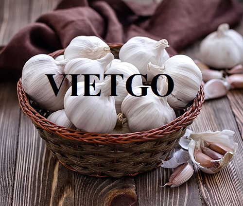 Một doanh nghiệp tại Ấn Độ đang cần nhập khẩu gấp sản phẩm tỏi trắng