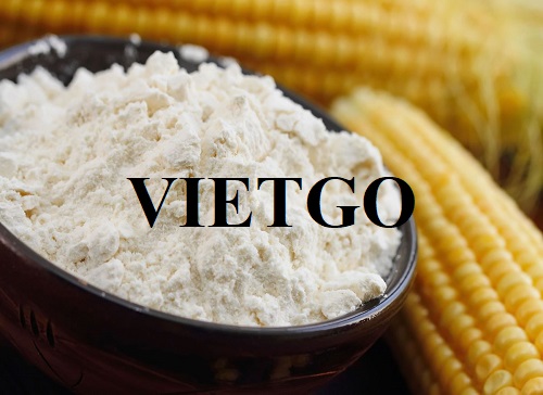 Cơ hội hợp tác xuất khẩu bột ngô sang thị trường Trung Quốc