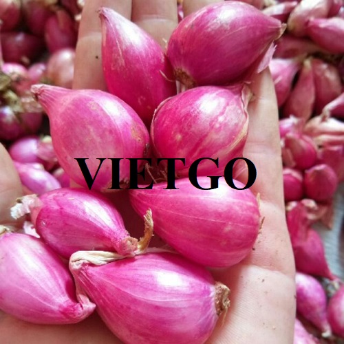 Cơ hội hợp tác với doanh nghiệp tại Philippines cho đơn hàng xuất khẩu hành tím