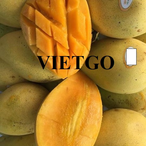 Thương vụ hợp tác xuất khẩu xoài tươi sang thị trường Malaysia